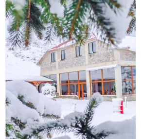 Victorian Heights Tetovo